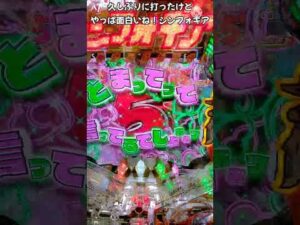 久しぶりに打ったけどやっぱ面白いね！シンフォギア