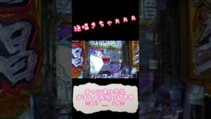 【P戦姫絶唱シンフォギア3】デュランダル保留からの最終決戦絶唱で脳汁出た瞬間【最新台】