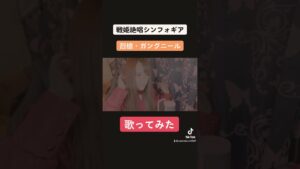 【戦姫絶唱シンフォギア】烈槍・ガングニール歌ってみた【アニソン】