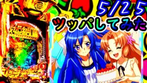 シンフォギア3　翼さんの誕生日にツッパしてみた
