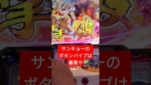 シンフォギアとSANKYOに脳を破壊された男の末路
