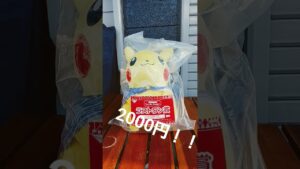 シンフォギア&ピカチュウ&ドンタコス#shorts