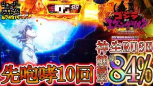 Pゴジラ対エヴァンゲリオン ～G細胞覚醒～ PREMIUM MODEL「私の初打ち」＜ビスティ＞～パチ私伝～