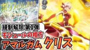 No.44『アマルガム クリス』が選抜から解除！！環境への影響はいかに…？【ヴァイスシュヴァルツ】