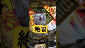 猫ミームCR戦姫絶唱シンフォギア