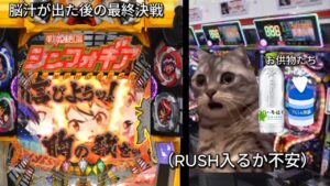 貰ったお年玉でパチンコする大学生　＃猫マニ　 #猫ミーム #シンフォギア