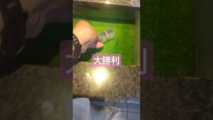 投資200両 パワフルからシンフォギア 気持ちがいい勝利