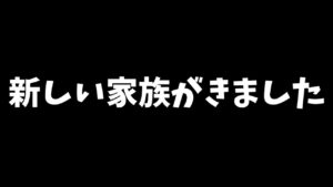 【ご報告】新しい家族がきました【PF戦姫絶唱シンフォギア3】